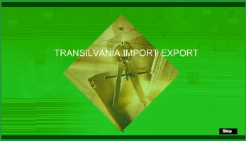 TRANSILVANIA IMPORT EXPORT